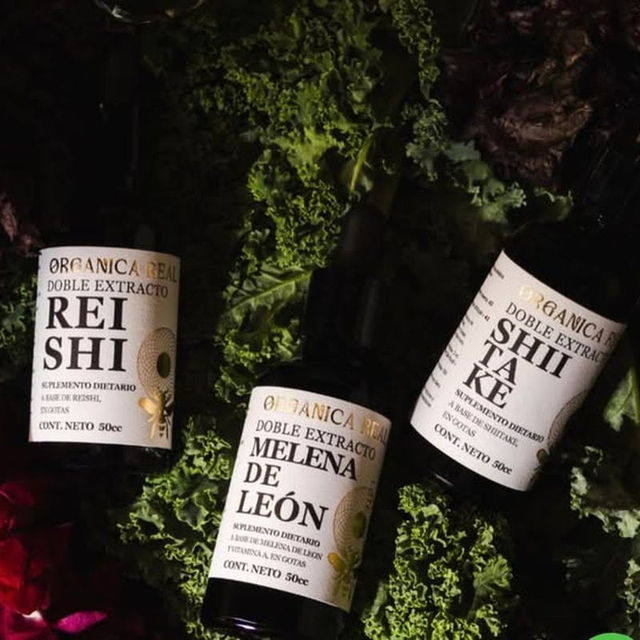 Frascos de doble extracto de Reishi, Melena de León y Shiitake de Orgánica Real